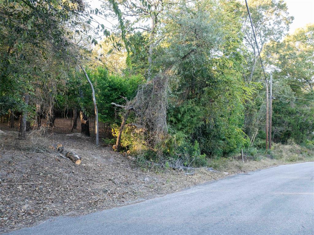 0 Callender Lake Drive Murchison, TX 75778 - Photo 4 of 17 a view of a park with large trees