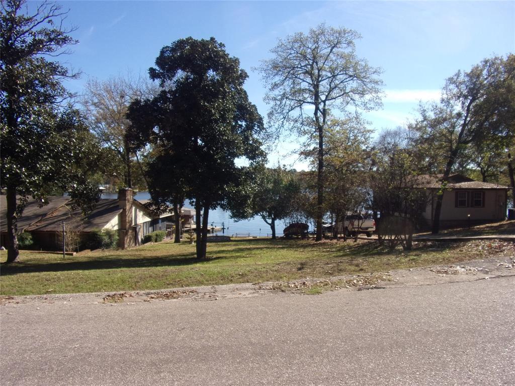 0 Callender Lake Drive Murchison, TX 75778 - Photo 5 of 17 a view of a yard with a tree