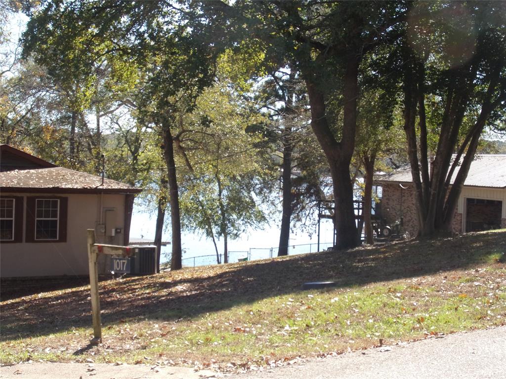 0 Callender Lake Drive Murchison, TX 75778 - Photo 7 of 17 a view of a yard with a tree