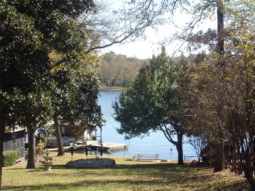 0 Callender Lake Drive Murchison, TX 75778 - Photo 8 of 17 a view of a yard with large trees