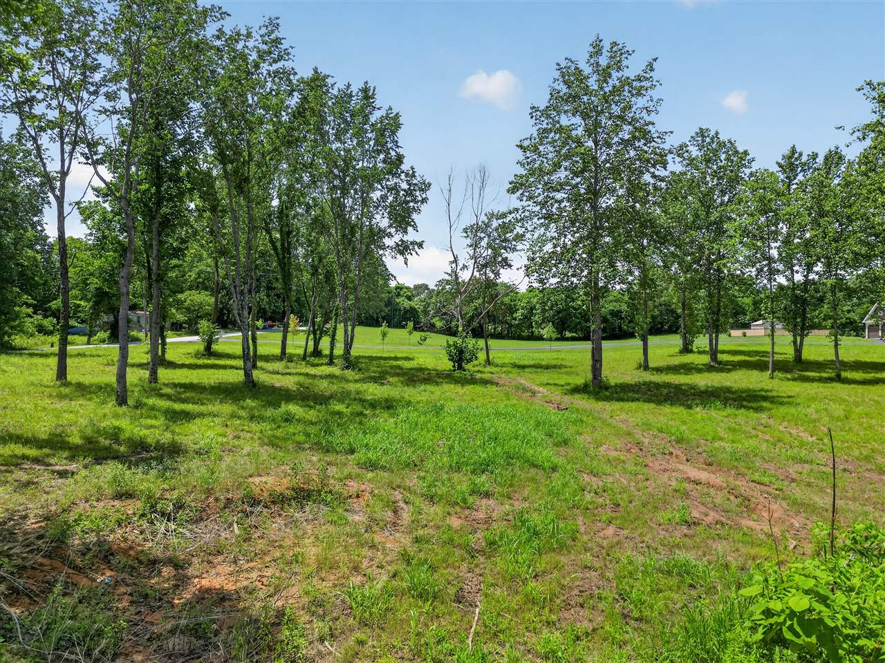 0 Dennis Road Russellville, KY 42276 - Photo 7 of 14 Gallery Image 7