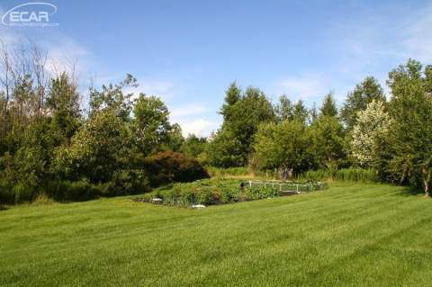 9485 Torrey Road Grand Blanc, MI 48439 - Photo 36 of 40 20444200-35.JPG