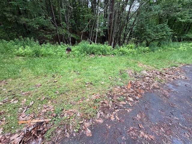 224 East Dunbarton Road Goffstown, NH 03045 - Photo 8 of 22