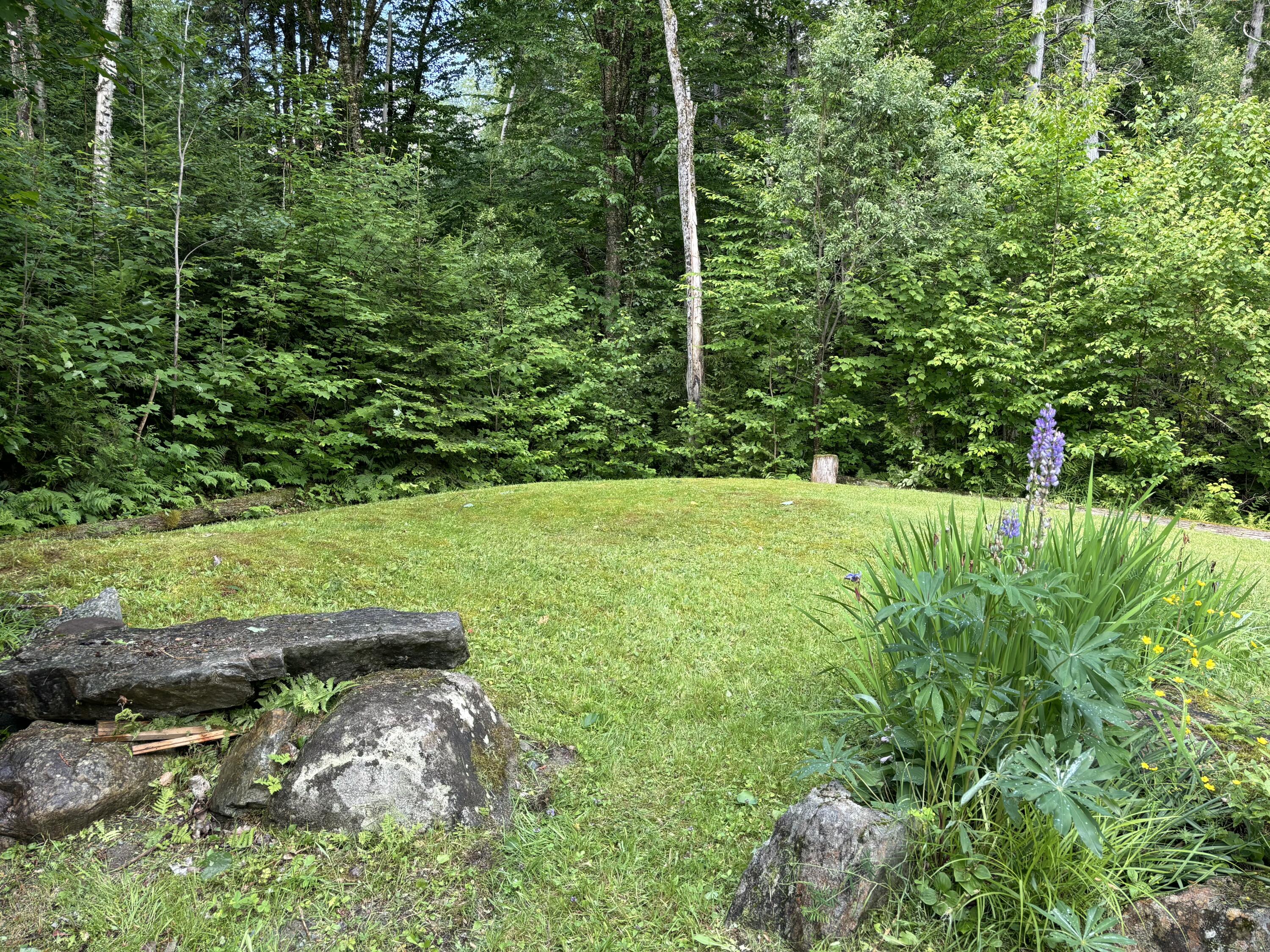 Back yard