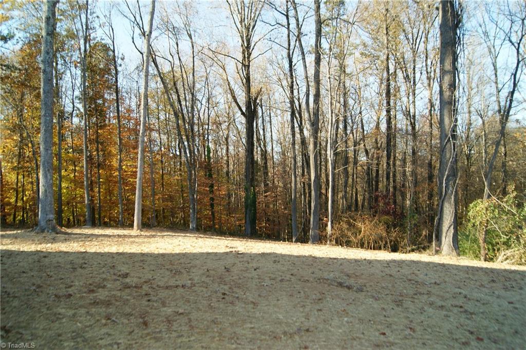 258 Shuler Road Thomasville, NC 27360 - Photo 8 of 8 Gallery Image 8