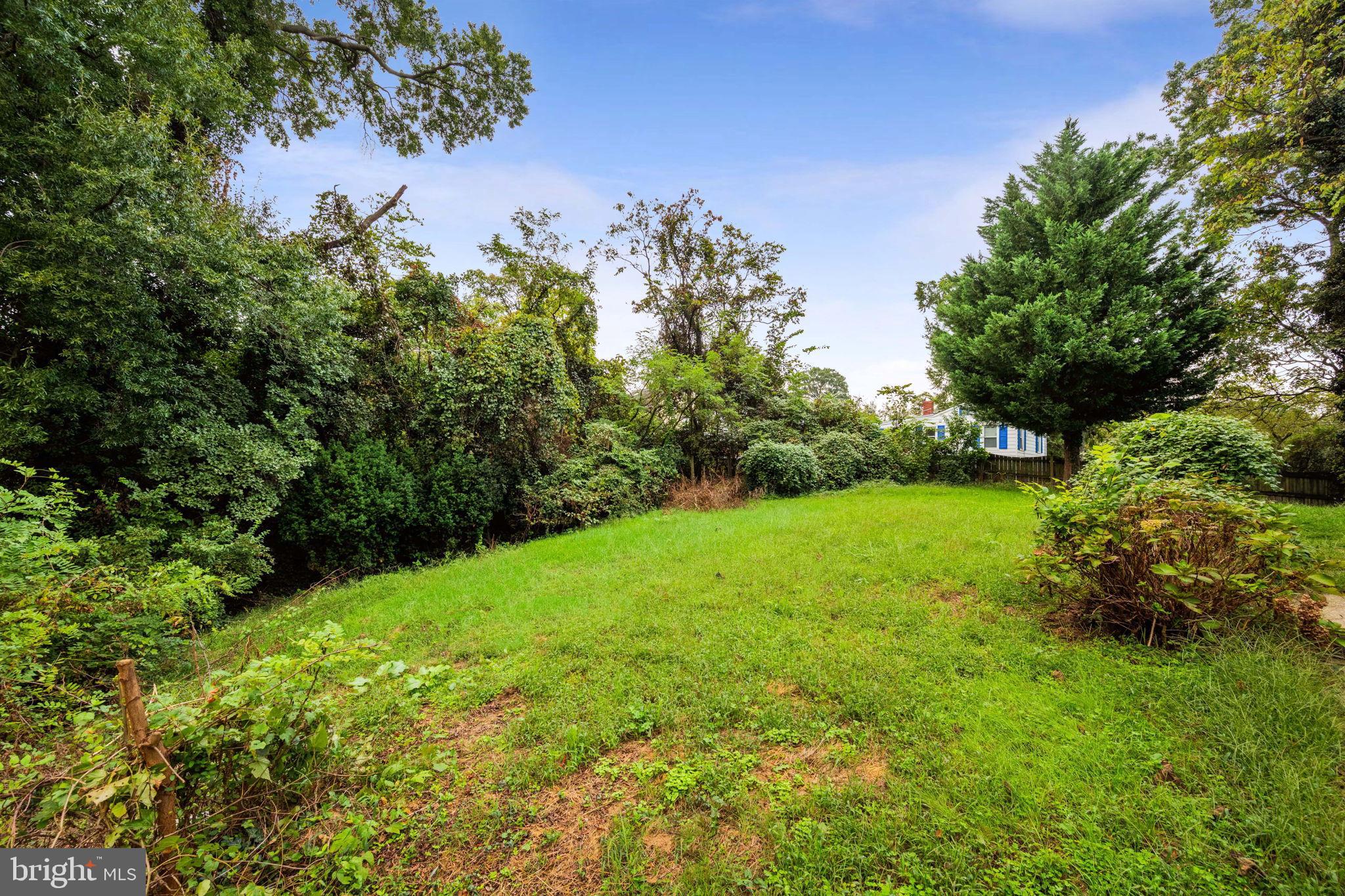 4227 Gault Place Northeast Washington, DC 20019 - Photo 3 of 34 Lush green oasis with serene woodland backdrop.