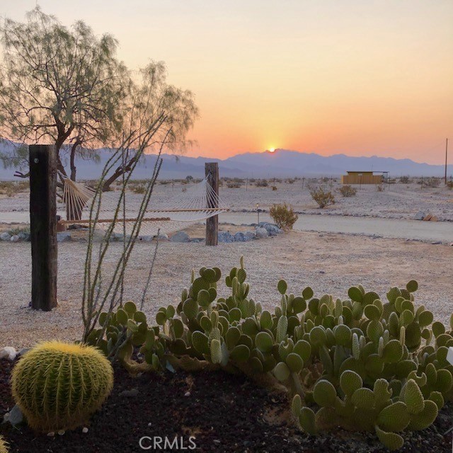 81320 Brown Road Twentynine Palms, CA 92278 - Photo 23 of 25