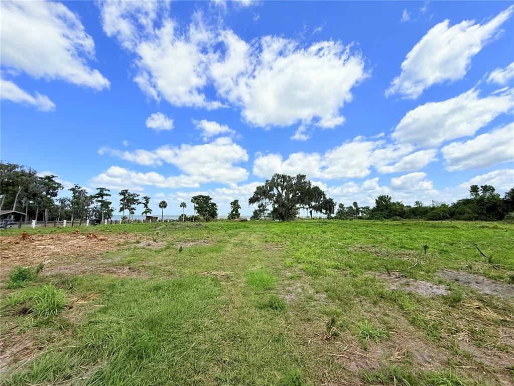2170 Black Hammock Road Oviedo, FL 32765 - Photo 13 of 24 a view of a big yard with lots of green space
