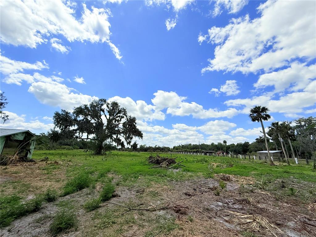 2170 Black Hammock Road Oviedo, FL 32765 - Photo 16 of 24 a view of a garden with lots of trees