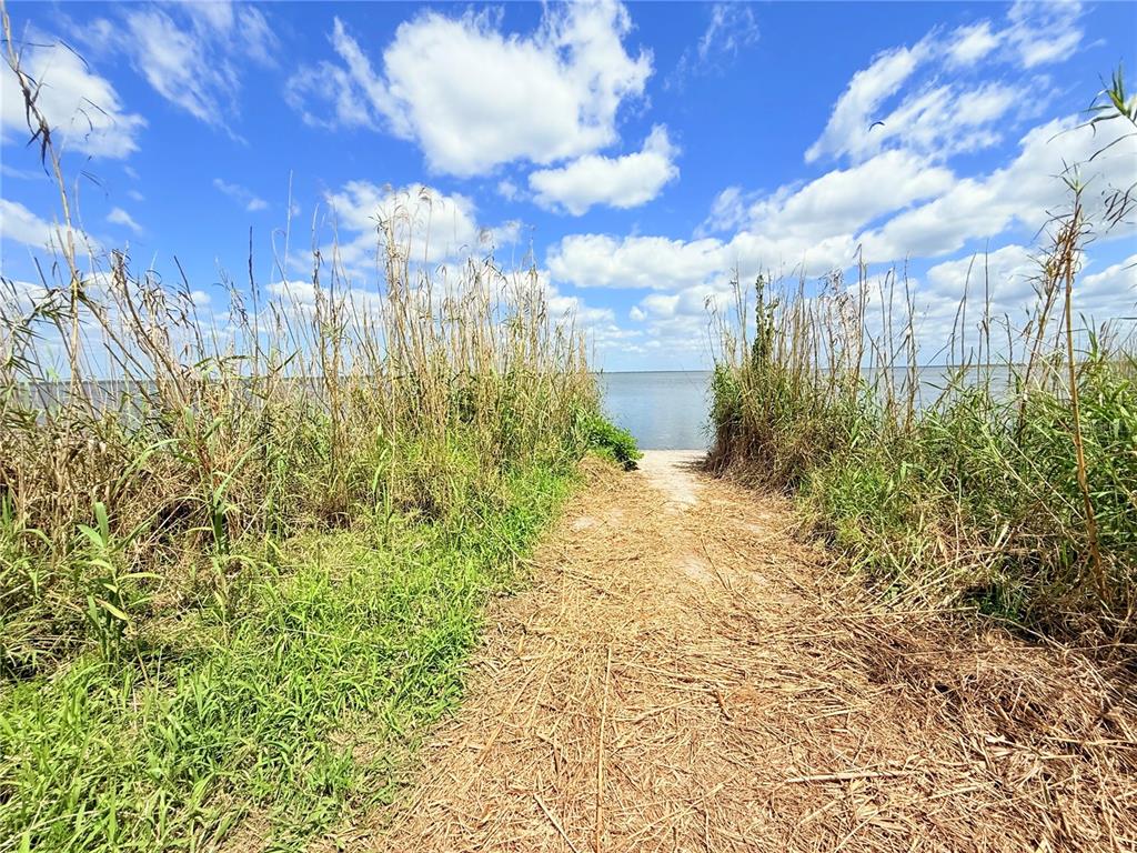 2170 Black Hammock Road Oviedo, FL 32765 - Photo 17 of 24 a view of a yard with plants and large trees