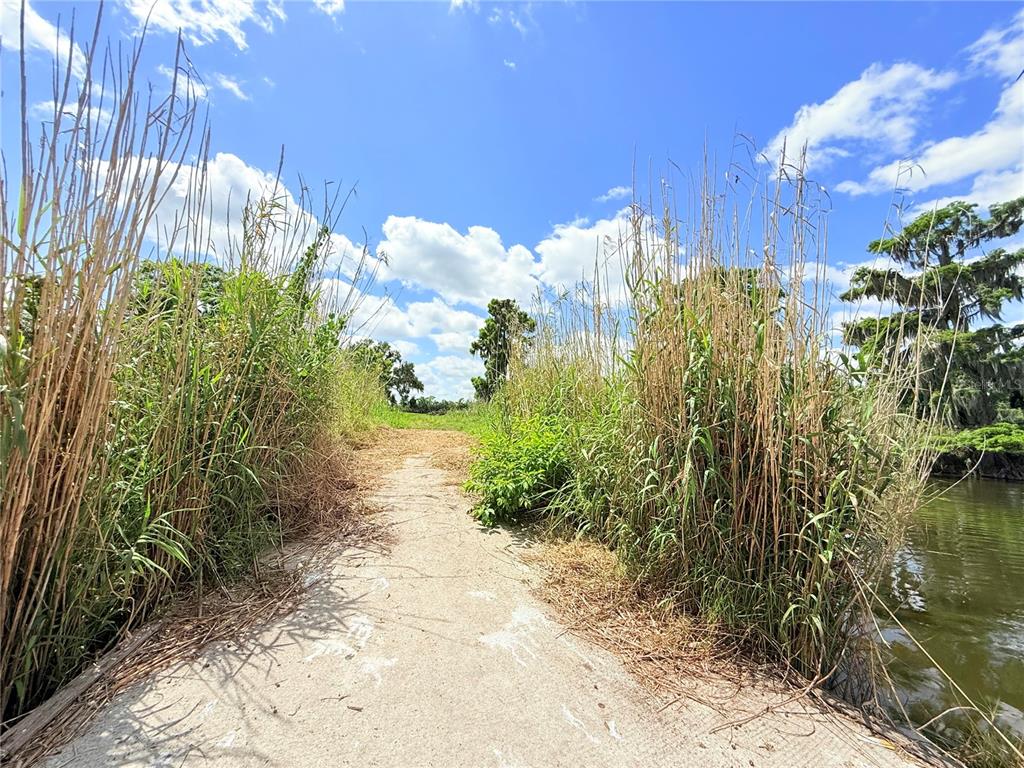 2170 Black Hammock Road Oviedo, FL 32765 - Photo 20 of 24 a view of a yard with plants and large trees