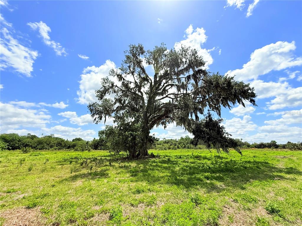 2170 Black Hammock Road Oviedo, FL 32765 - Photo 21 of 24 a front view of a house with garden
