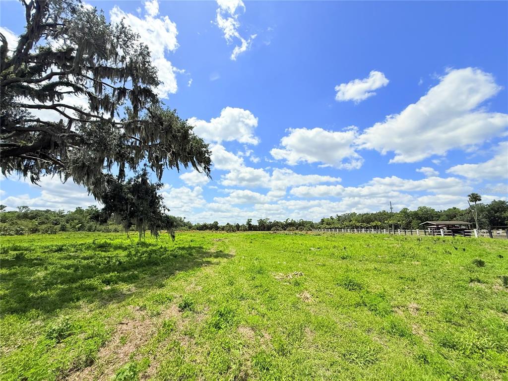2170 Black Hammock Road Oviedo, FL 32765 - Photo 22 of 24 a backyard of a house with lots of green space