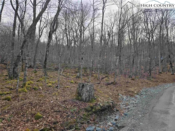 $49,900 | Rock Spring Circle, Sugar Mountain, NC 28604