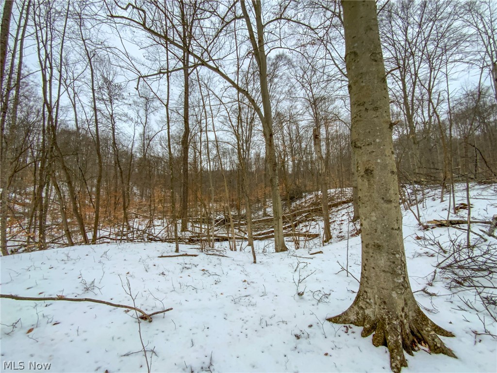 0 Lookout Road Lancaster, OH 43130 - Photo 15 of 35