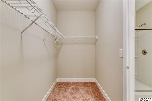 509 Botany Loop, Unit 509 Murrells Inlet, SC 29576 - Photo 17 of 25 Gallery Image 17