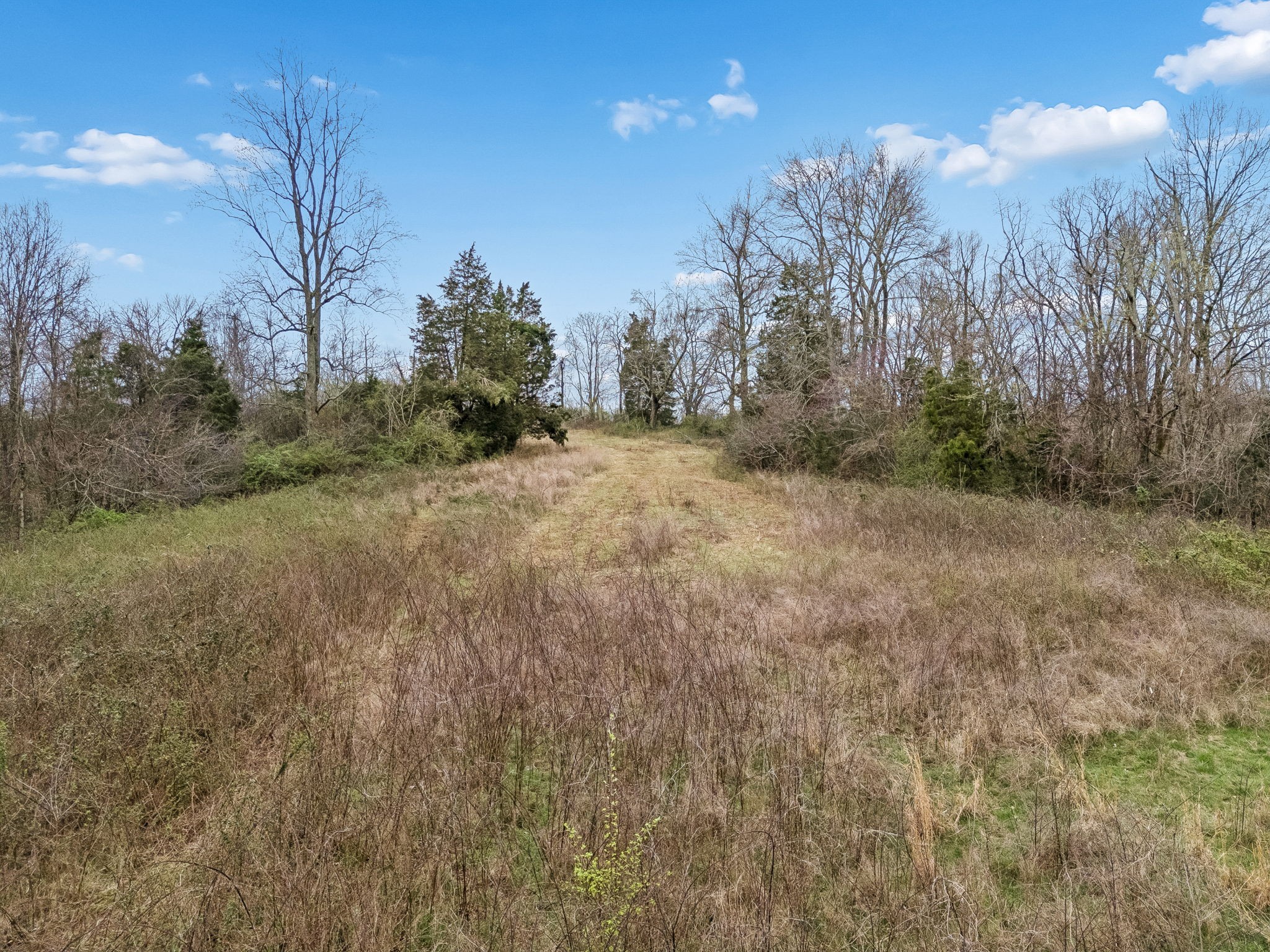 4094 Akin Ridge Road Williamsport, TN 38487 - Photo 29 of 94 Gallery Image 29