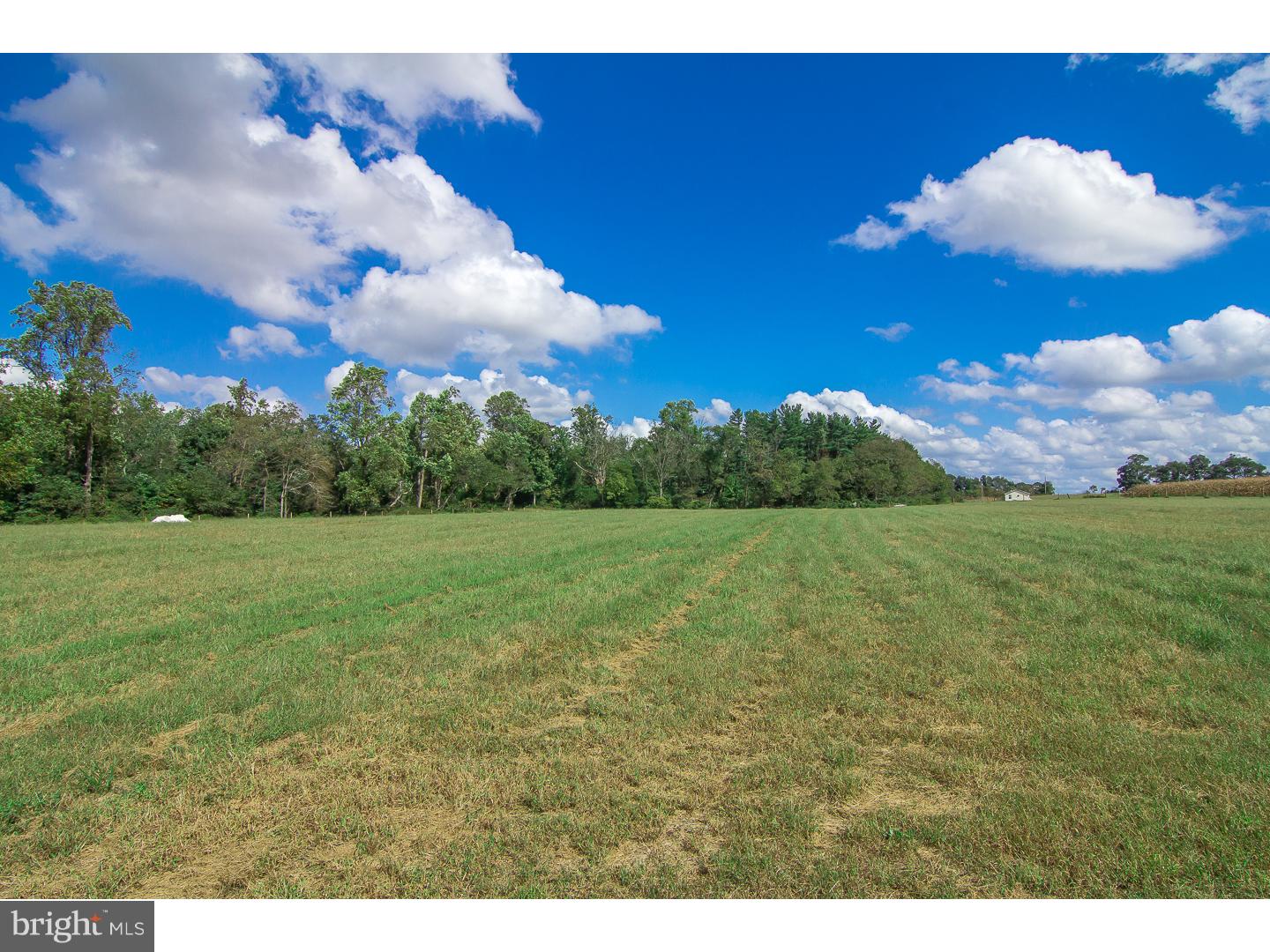 225 Center Road Elmer, NJ 08318 - Photo 9 of 25