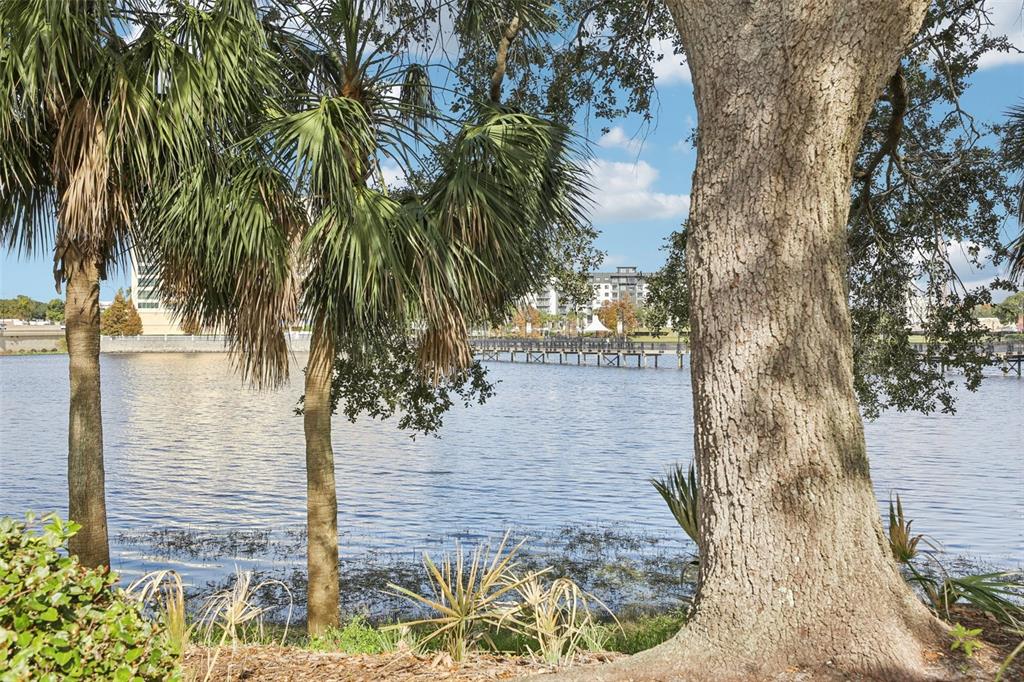 Undisclosed Address Altamonte Springs, FL 32701 - Photo 7 of 25