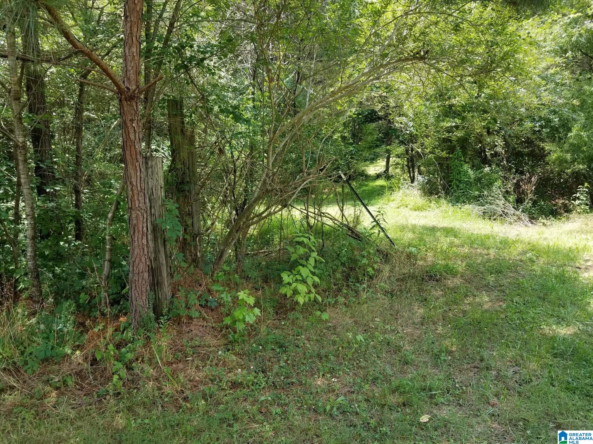 Honeycutt Road Remlap, AL 35133 - Photo 4 of 24