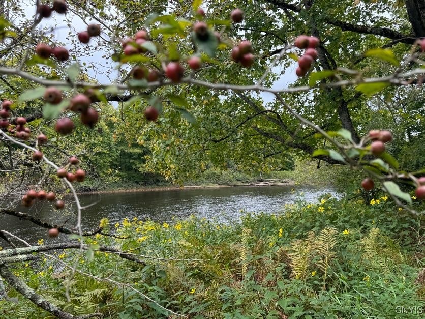 0 River Road Port Leyden, NY 13433 - Photo 1 of 1 Gallery Image 1
