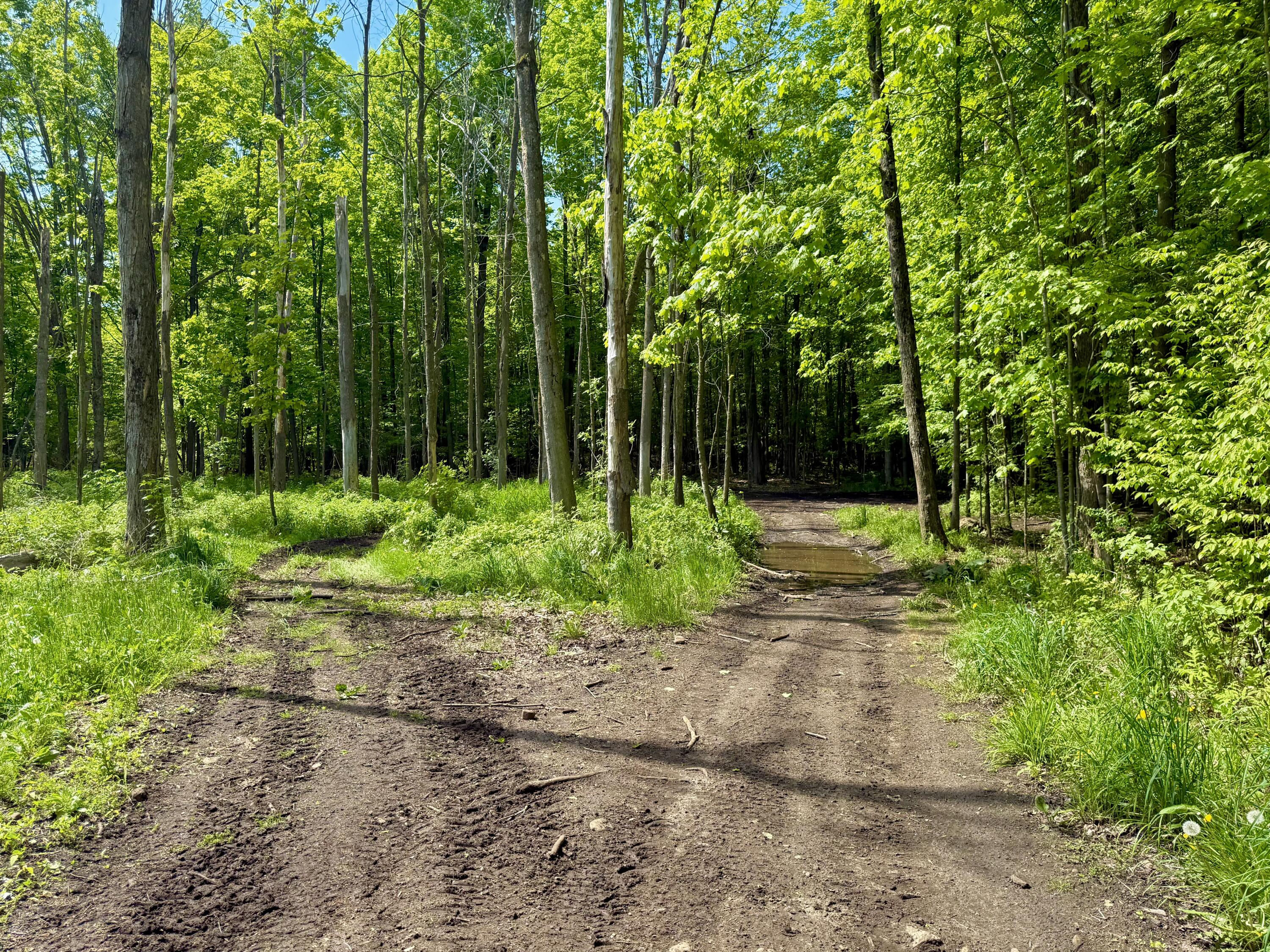 13 Boas Road Mooers Forks, NY 12959 - Photo 23 of 26