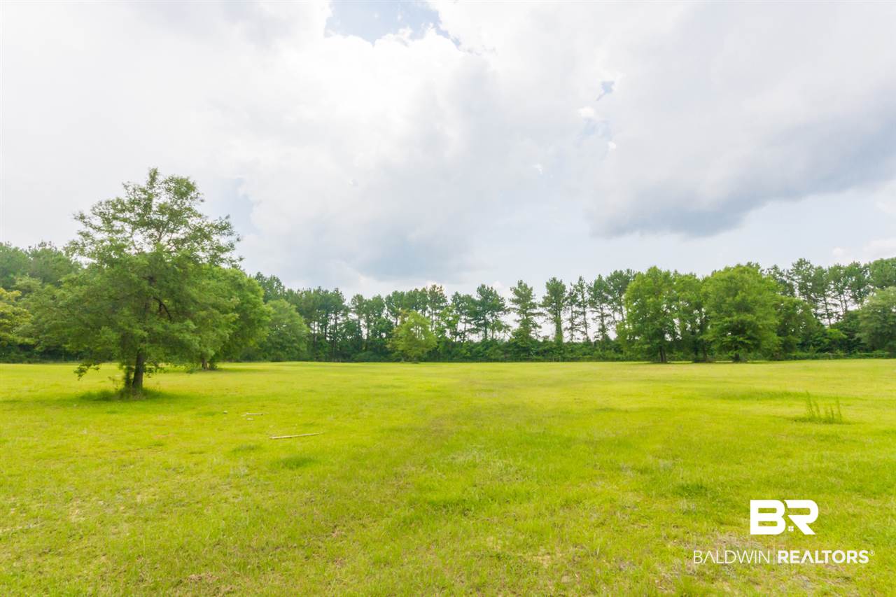 17361 County Road 87 Elberta, AL 36530 - Photo 24 of 33