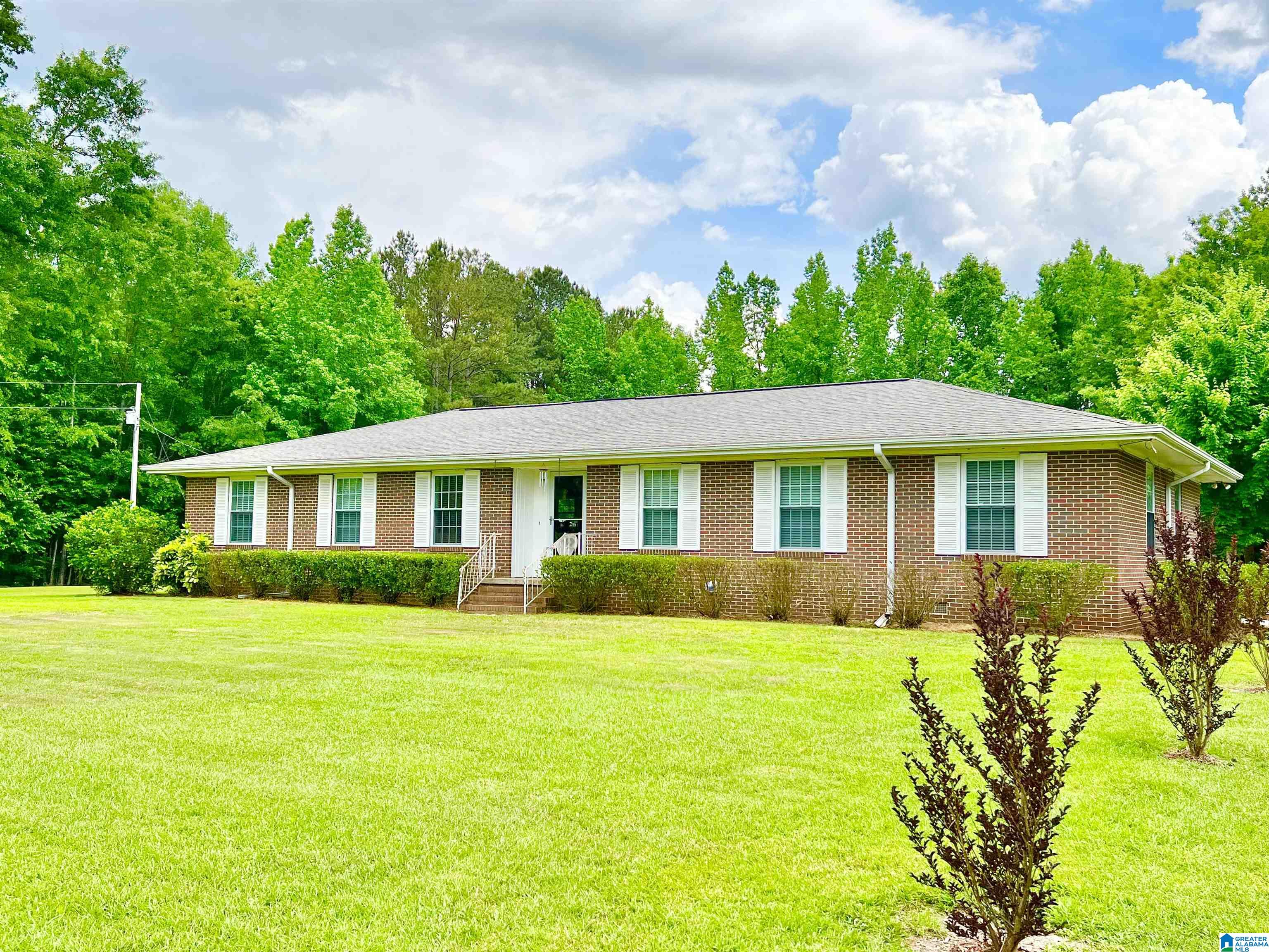1797-ea Mill Dr Co Road Goodwater, AL 35072 - Photo 1 of 39