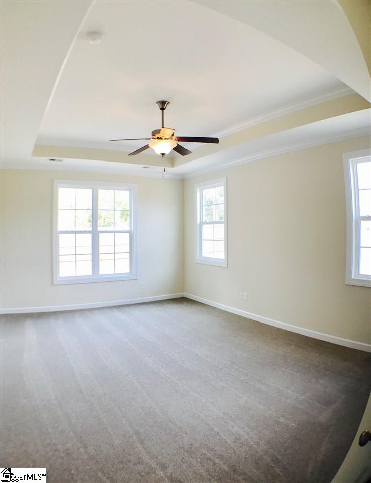 145 Belgian Blue Way Fountain Inn, SC 29644 - Photo 17 of 26 Gallery Image 17