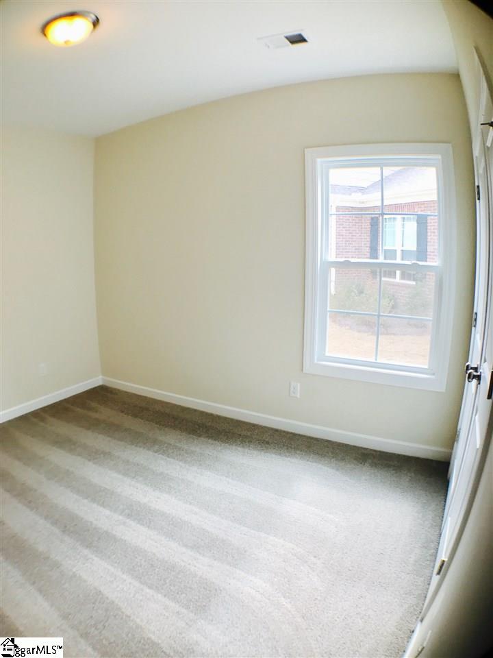 145 Belgian Blue Way Fountain Inn, SC 29644 - Photo 21 of 26 Gallery Image 21