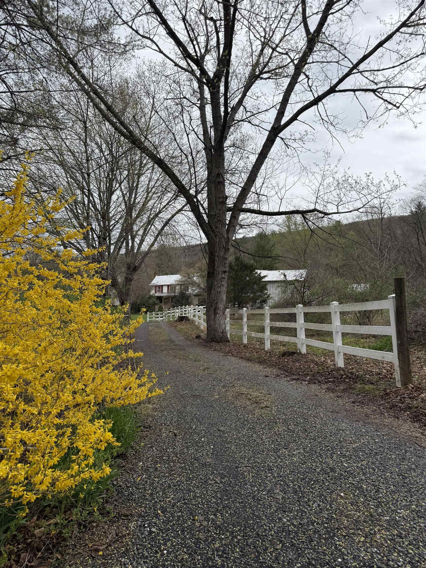 3820 Deerfield Valley Road Deerfield, VA 24432 - Photo 2 of 56 Gallery Image 2