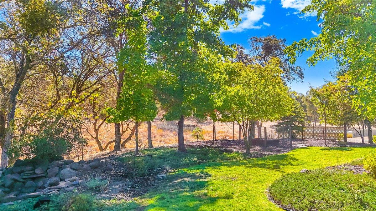8 Rock Ridge Court Copperopolis, CA 95228 - Photo 23 of 93 Gallery Image 23
