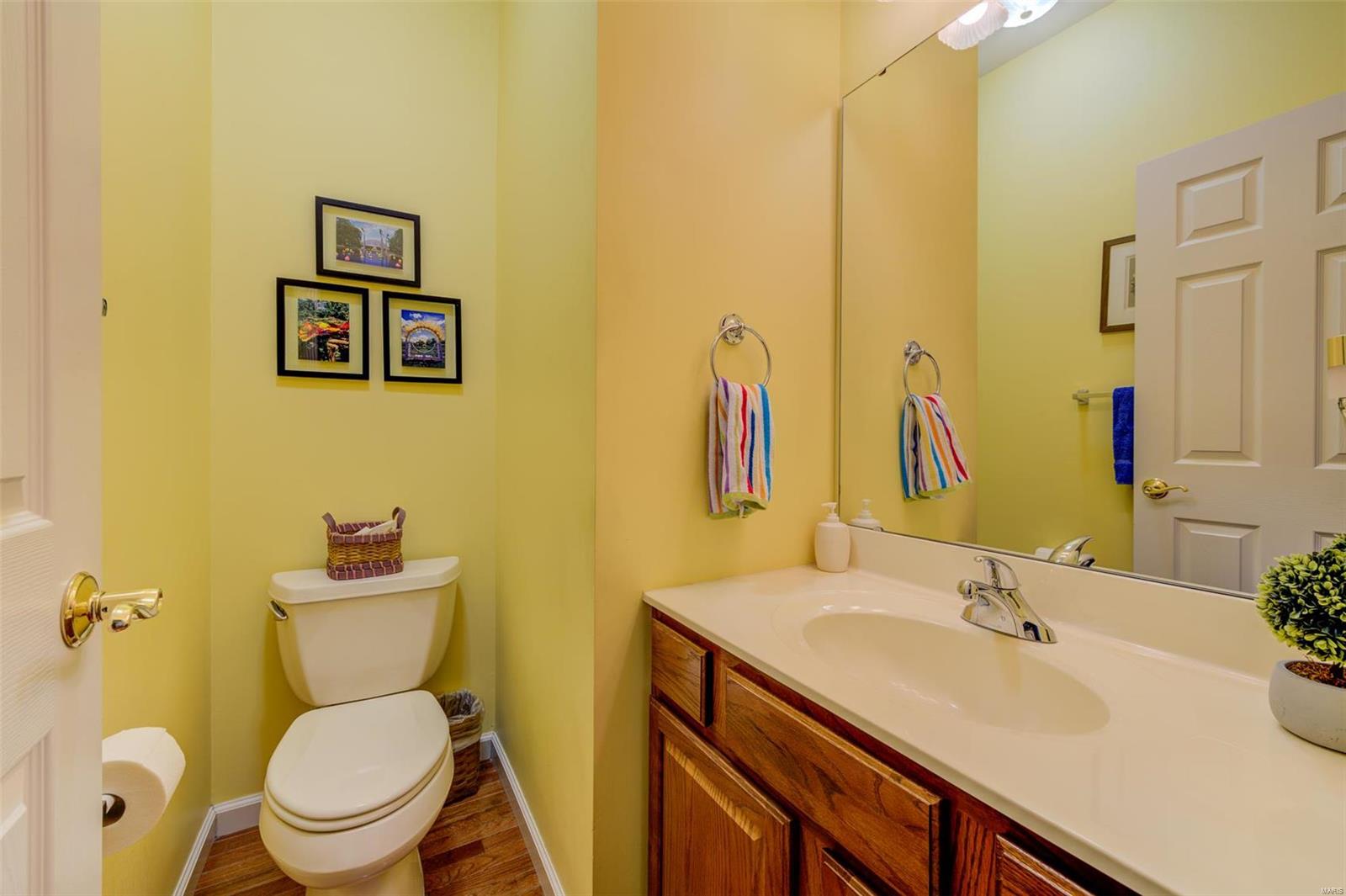 13264 Barrett Chase Circle Ballwin, MO 63021 - Photo 22 of 50