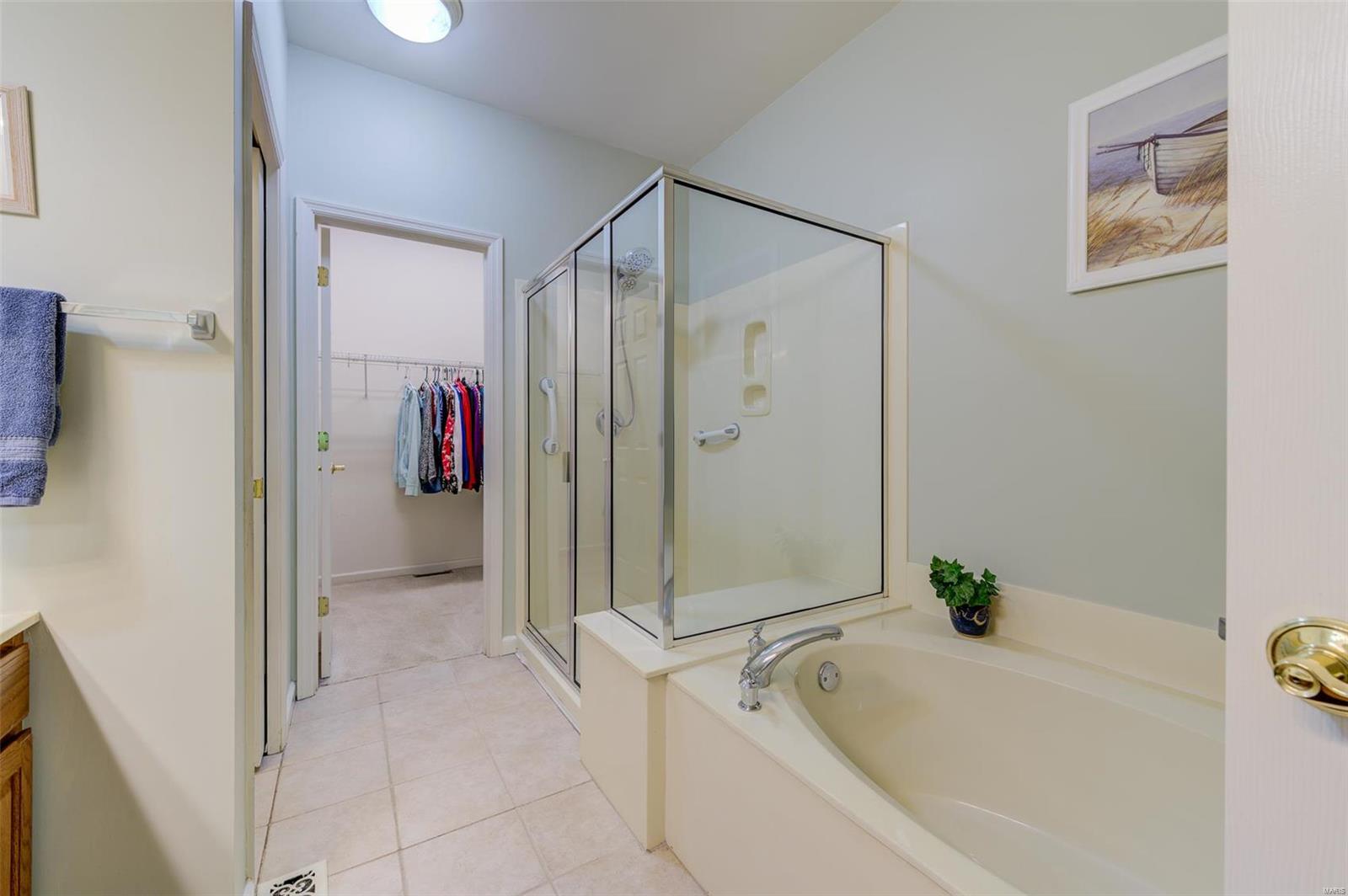 13264 Barrett Chase Circle Ballwin, MO 63021 - Photo 27 of 50