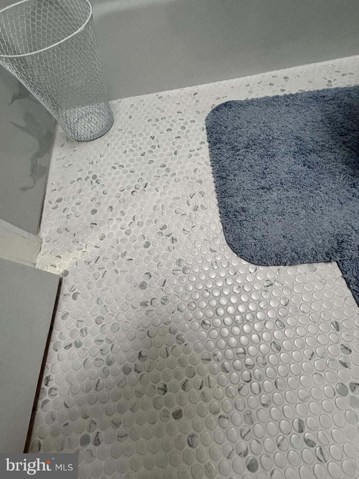 608 6th Place Southwest Washington, DC 20024 - Photo 55 of 65 Elegant pebble-patterned flooring.