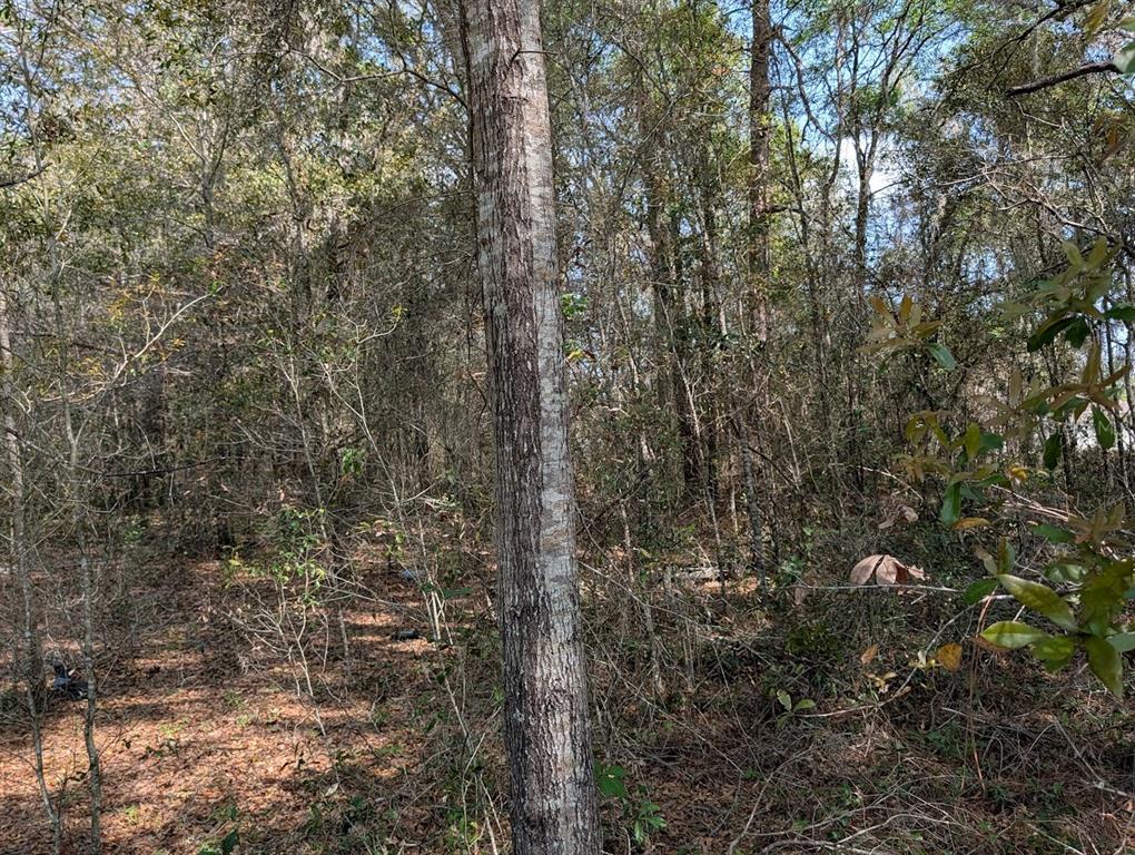 Southwest 30th Place Ocala, FL 34481 - Photo 2 of 9