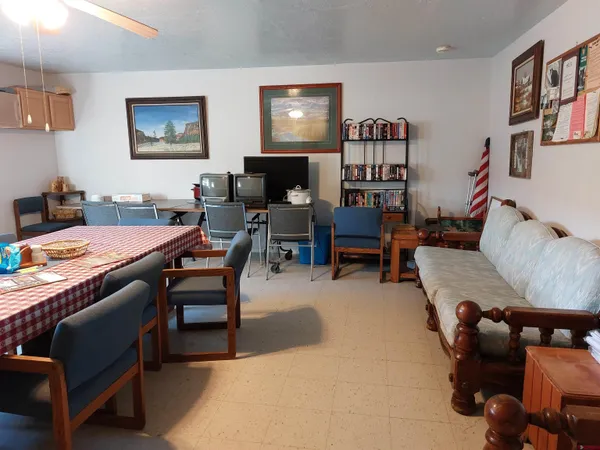 a living room with a couch and a potted plant