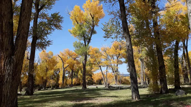 a view of outdoor space with trees