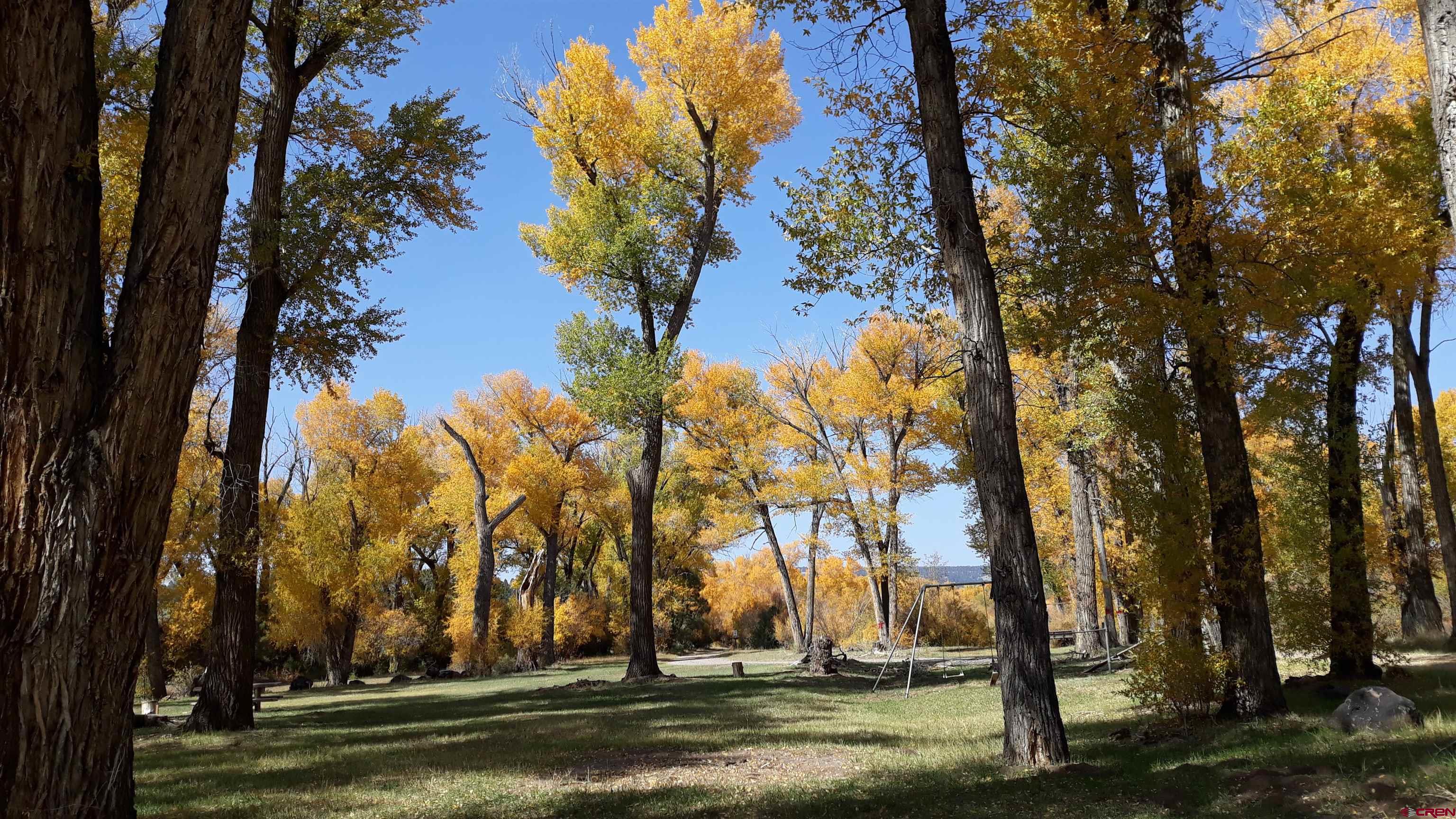 1 Conejos Trails Road Antonito, CO 81120 - Photo 2 of 20 a view of outdoor space with trees