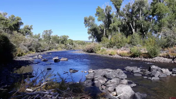 a view of a street with a tree
