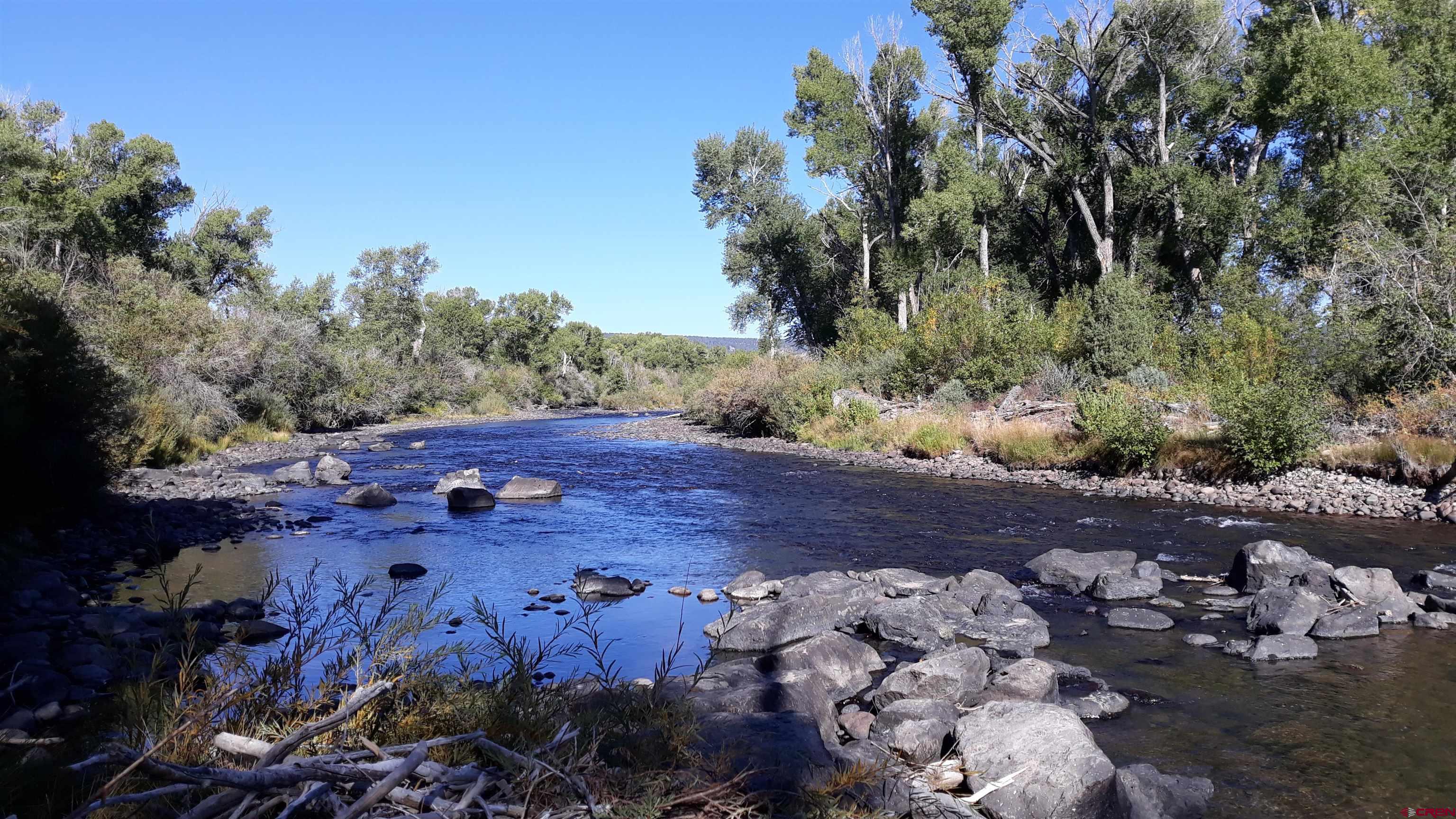 1 Conejos Trails Road Antonito, CO 81120 - Photo 4 of 20 a view of a street with a tree