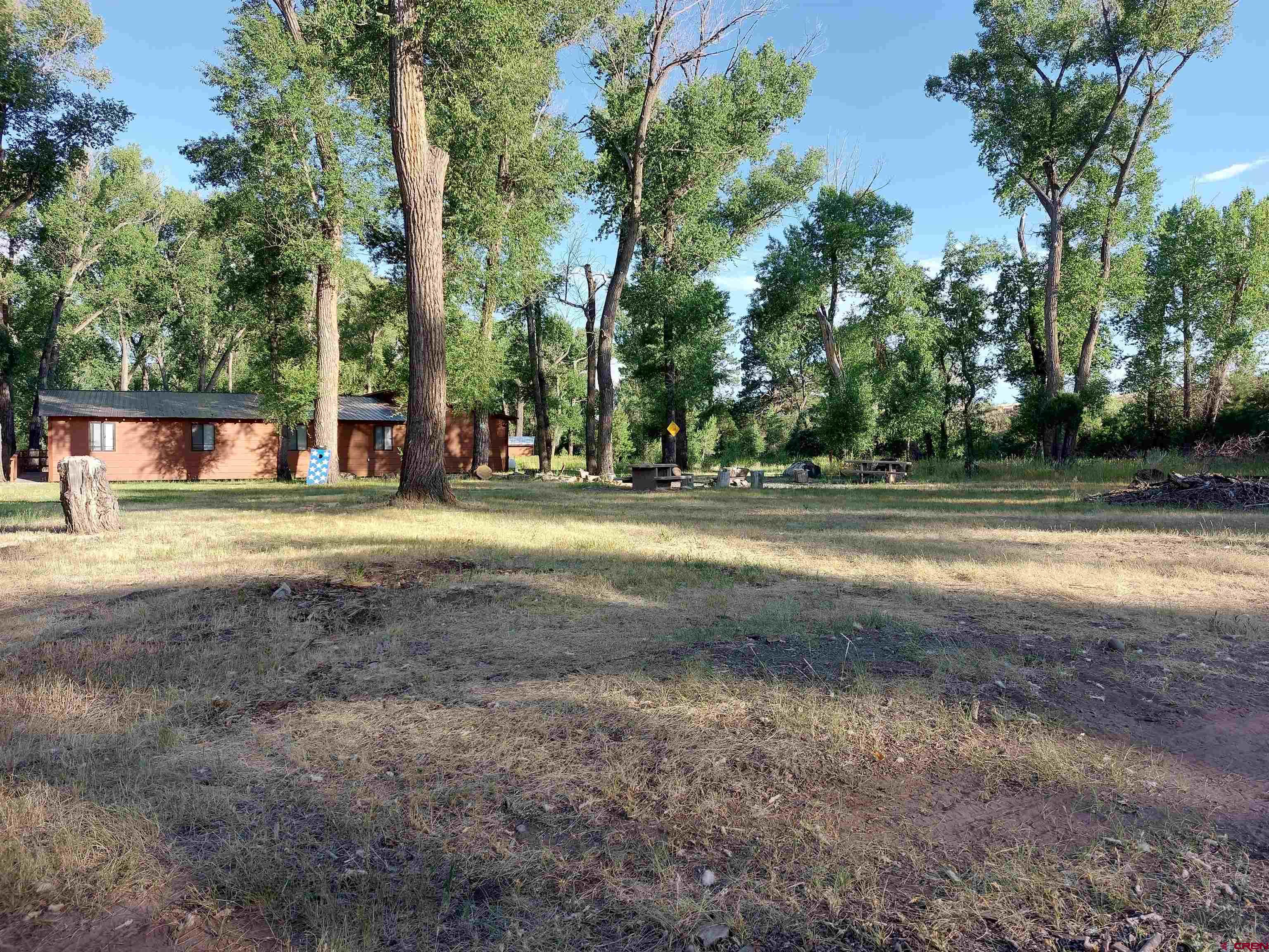 1 Conejos Trails Road Antonito, CO 81120 - Photo 9 of 20 a view of a house with a big yard and large trees