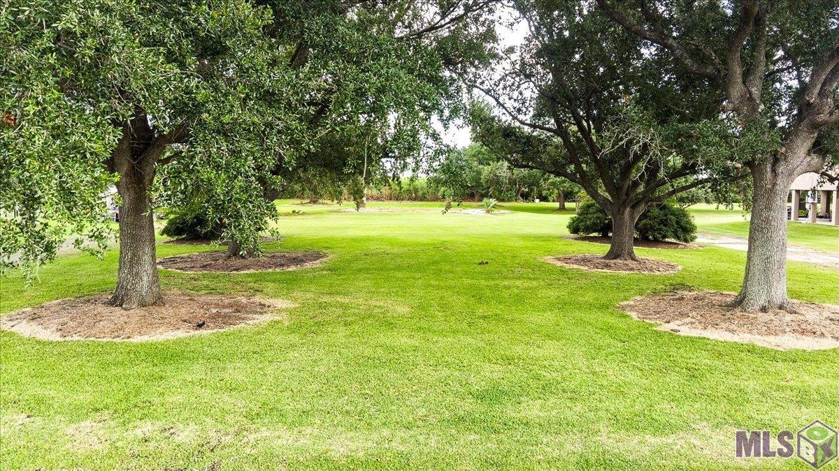 1783 Bayou Dularge Road Theriot, LA 70397 - Photo 3 of 6 Gallery Image 3