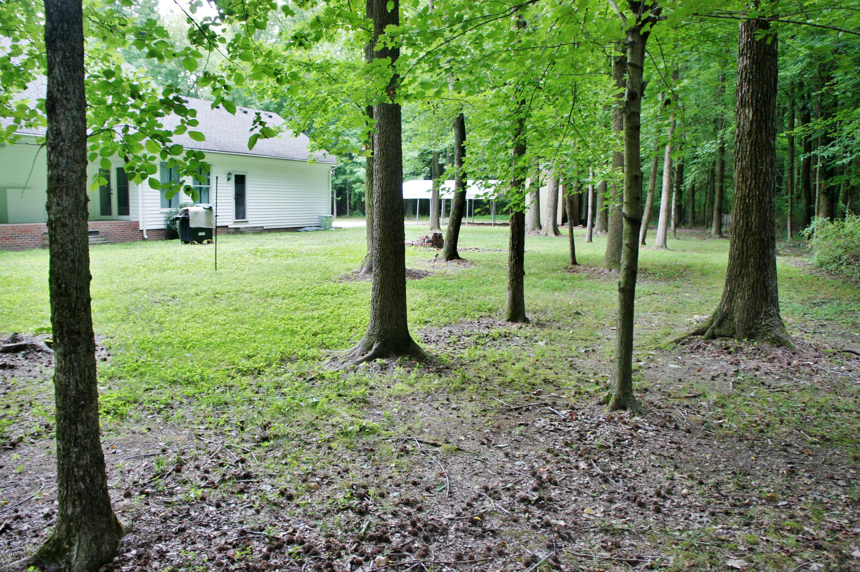 876 Country Club Road Metropolis, IL 62960 - Photo 8 of 50