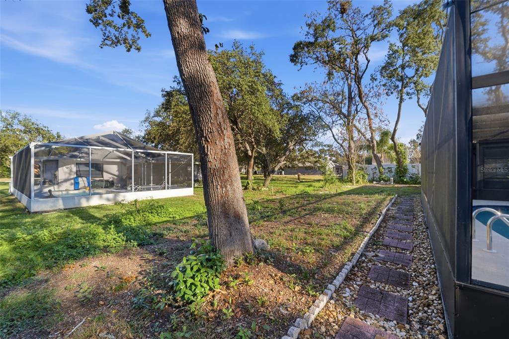 7822 Holiday Drive Spring Hill, FL 34606 - Photo 27 of 51 a view of a yard with plants and trees