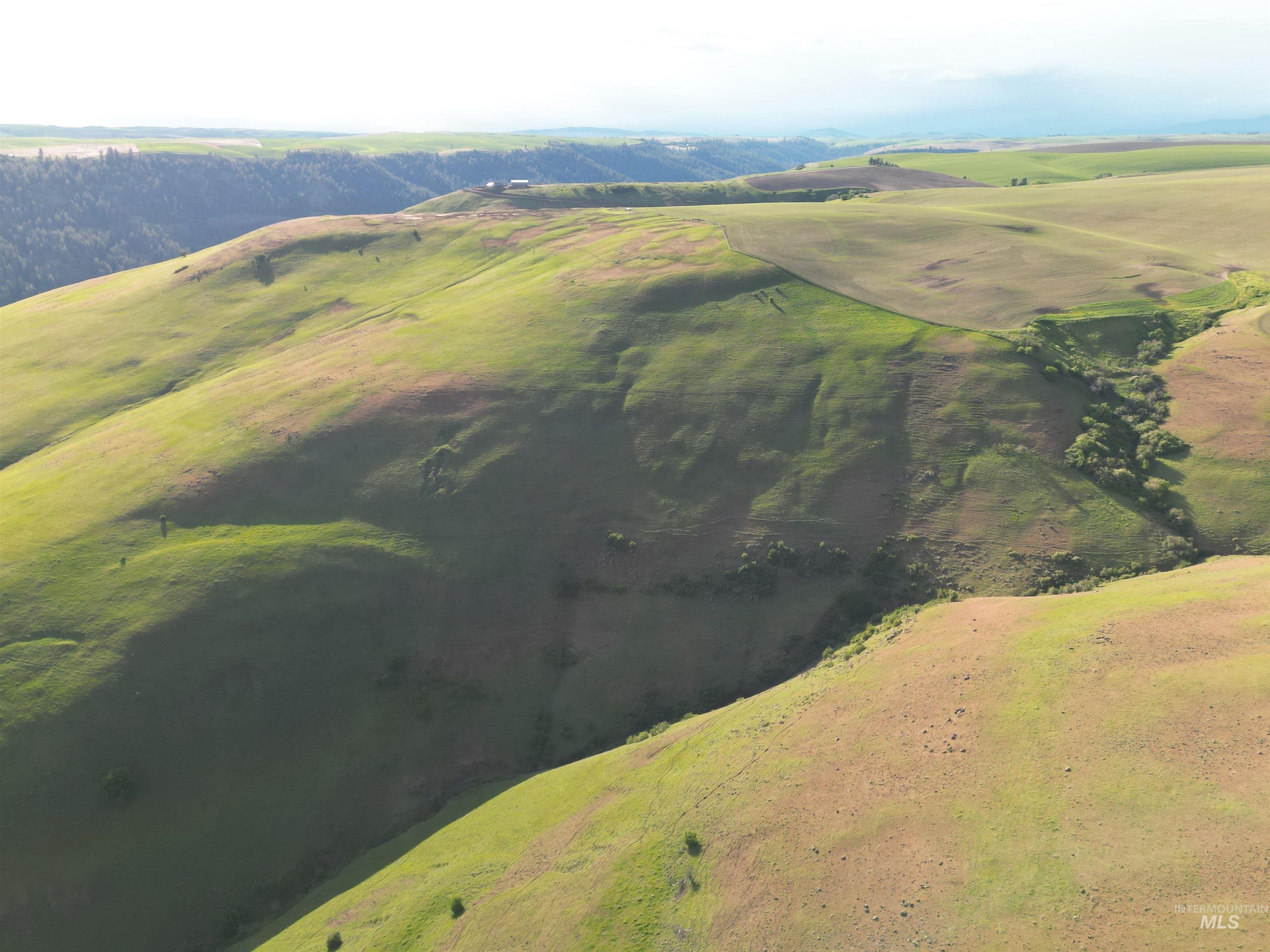 0 American Ridge Road Kendrick, ID 83537 - Photo 11 of 17