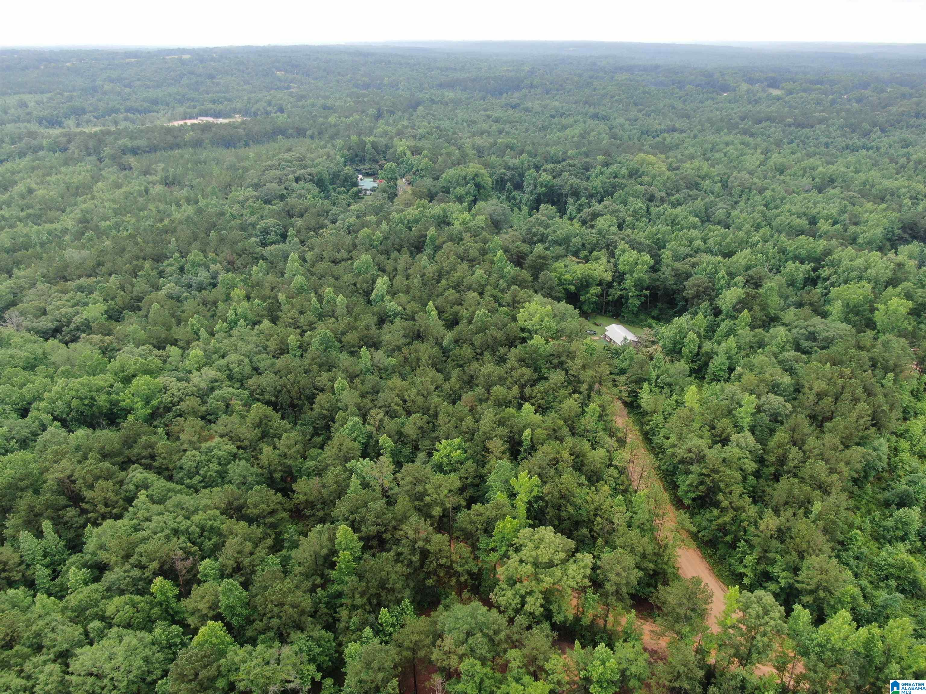 536 County Road, Unit 1 Marbury, AL 36051 - Photo 4 of 12