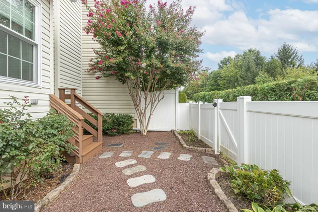 a view of a backyard with potted plants