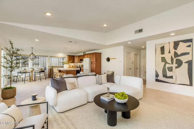 a living room with furniture and a potted plant