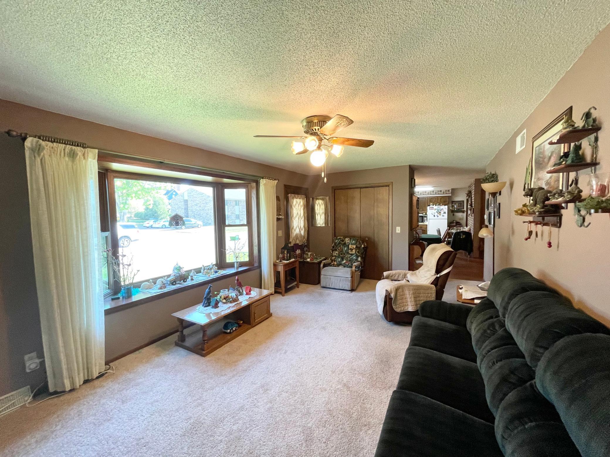 115 West Lincoln Street Springfield, MN 56087 - Photo 6 of 39